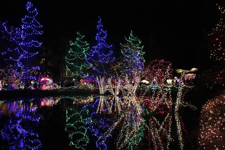 The Season of Lights