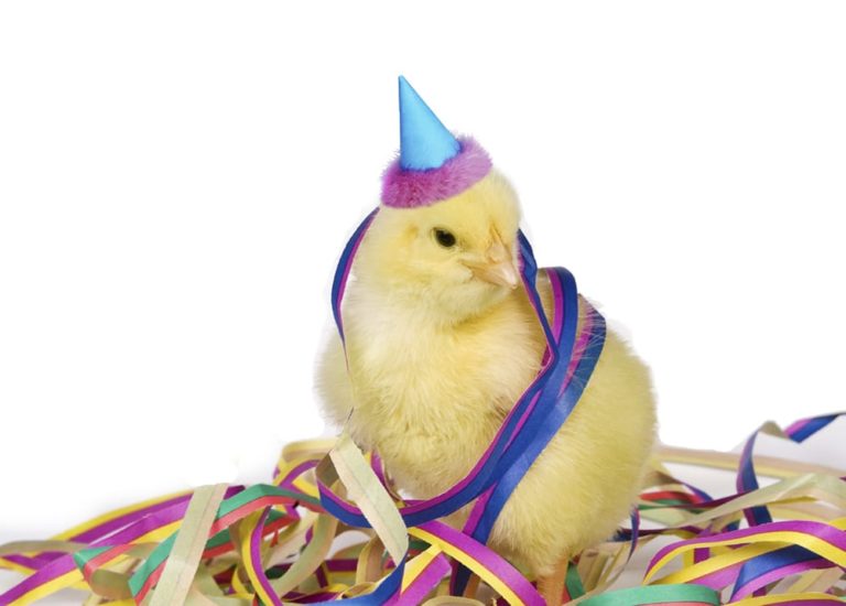 Easter Activities for Kids