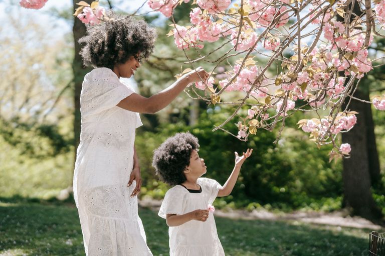 A mother and child in white dresses admire blooming cherry blossoms on a sunny day.