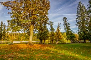 Beautiful autumn day in a park with vibrant colors and serene scenery.