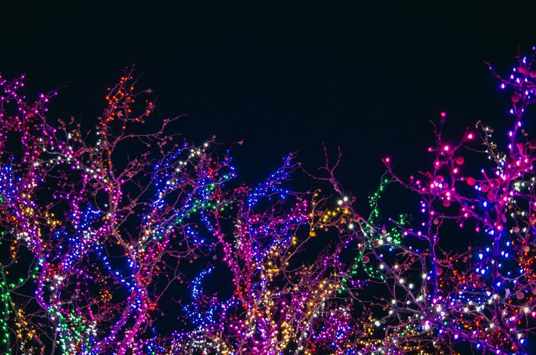 Colorful holiday lights illuminating tree branches against a dark night sky, perfect for festive backgrounds.
